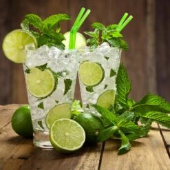 Persian 'Bearss' Lime Tree -Fast-Growing-Trees Shop Persian Lime Tree 4 FGT