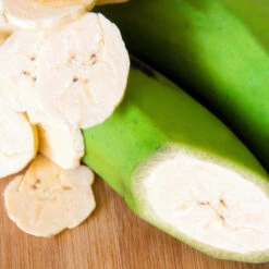 Puerto Rican Plantain Banana Tree -Fast-Growing-Trees Shop Puerto Rican Plantain Banana Tree 3