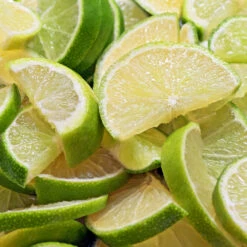 Persian 'Bearss' Lime Bush 10 Persian 'Bearss' Lime Bush -Fast-Growing-Trees Shop Pursian Lime Bush 1 FGT 8e948345 4f0b 4e96 a96f a17b7b31b7ab