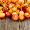 Rainier Cherry Tree -Fast-Growing-Trees Shop Rainier Cherry Tree FGT 600x600 1094475e 5dab 4191 8167 5c5a6519bb91