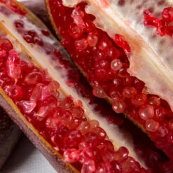 Red Finger Lime Tree -Fast-Growing-Trees Shop Red FInger Lime 1 1453b836 c1a1 4844 92f1 11e49d09cc4d