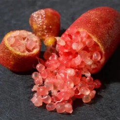 Red Finger Lime Tree -Fast-Growing-Trees Shop Red FInger Lime 4 9d59c6cf 3c60 416a 9a37 9f59037c8f8e