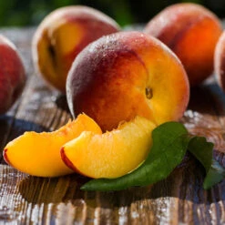 Red Baron Peach Tree -Fast-Growing-Trees Shop Red Baron Peach 4