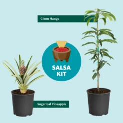 Salsa Kit -Fast-Growing-Trees Shop SalsaKitGraphic