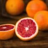 Sanguinelli Blood Orange Tree 2 Sanguinelli Blood Orange Tree -Fast-Growing-Trees Shop Sanguinelli Blood Orange FGT 600x600 7a7de938 a6c5 4521 84f8 c031e9f36cc2