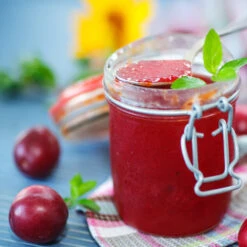 Santa Rosa Plum Tree -Fast-Growing-Trees Shop Santa Rosa Plum 4