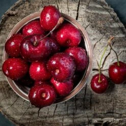 Santina™ Cherry Tree -Fast-Growing-Trees Shop Santina Cherry 1