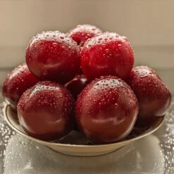 Satsuma Plum Tree -Fast-Growing-Trees Shop Satsuma Plum 3