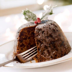 Satsuma Plum Tree -Fast-Growing-Trees Shop Satsuma Plum 4