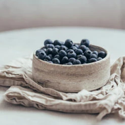 Sharpblue Blueberry Bush -Fast-Growing-Trees Shop Sharpblue Blueberry 1