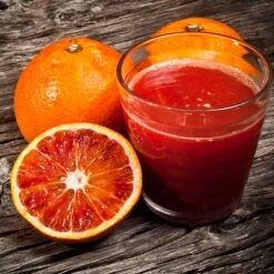 Smith Red Orange -Fast-Growing-Trees Shop Smith Red Orange 3 FGT