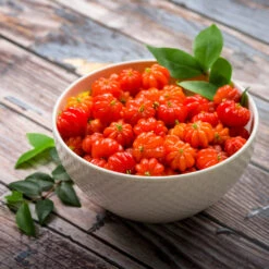 Star Cherry Tree (Pitanga) -Fast-Growing-Trees Shop Star Cherry 3 FGT