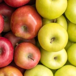 2-in-1 Apple Surprise Tree -Fast-Growing-Trees Shop Surprise Apple 1 5277609f 2a1f 491f 804c c001e47d74ac