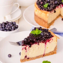 Sweetheart Blueberry Bush - USDA Organic -Fast-Growing-Trees Shop Sweetheart BLueberry 5 1a0cfdf7 1cd6 45a1 818e 55a4528665c9