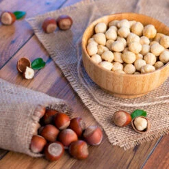 Theta Filbert Hazelnut -Fast-Growing-Trees Shop THeta FIlbert Hazelnut 4