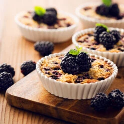 Thornless Blackberry -Fast-Growing-Trees Shop Thornless Blackberry 2