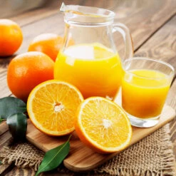 Valencia Orange Tree 14 Valencia Orange Tree -Fast-Growing-Trees Shop Valencia Orange 3 FGT