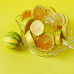 Pink Variegated Eureka Lemon Tree -Fast-Growing-Trees Shop Variegated Pink Eureka 3 fc1d5a93 7ca6 443b a4e9 221de3f12f84