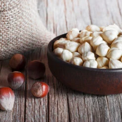 York Filbert Hazelnut 12 York Filbert Hazelnut -Fast-Growing-Trees Shop York Hazelnut 5